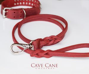 guia para cães, guia de condução de cães